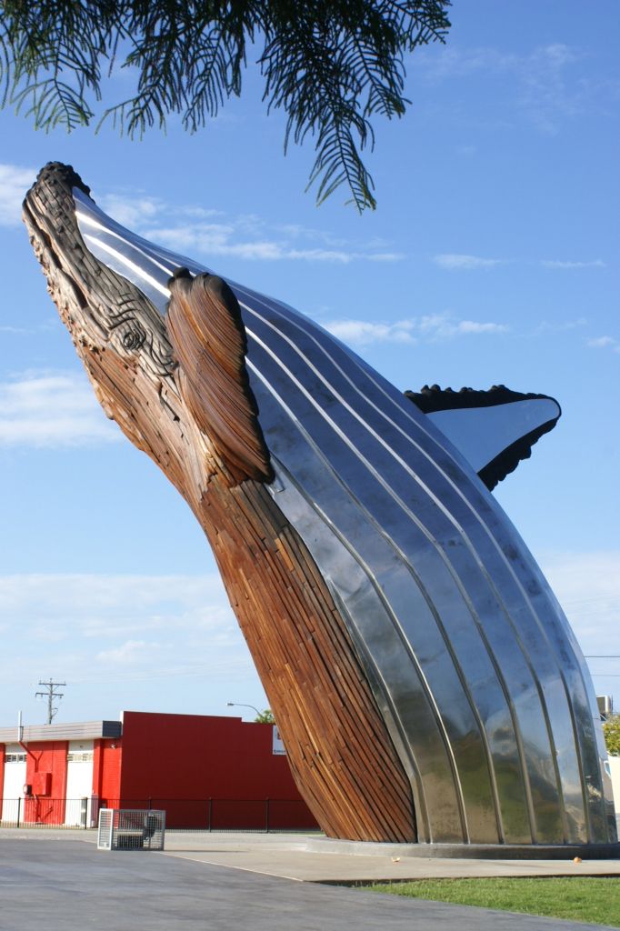 https://mdw-travel-data-us-east-1.s3.amazonaws.com/img/country/Australia/Hervey-Bay-Whale-Watching/img_04.jpg
