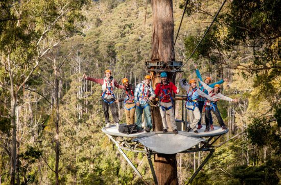 https://mdw-travel-data-us-east-1.s3.amazonaws.com/img/country/Australia/Hollybank-Treetops-Adventure/img_01.jpg