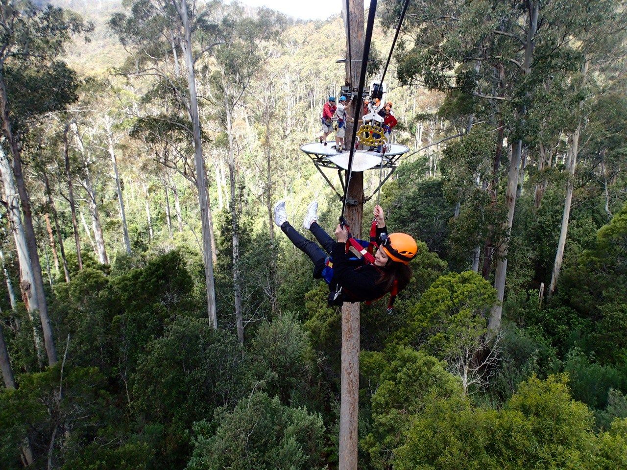 https://mdw-travel-data-us-east-1.s3.amazonaws.com/img/country/Australia/Hollybank-Treetops-Adventure/img_02.jpg