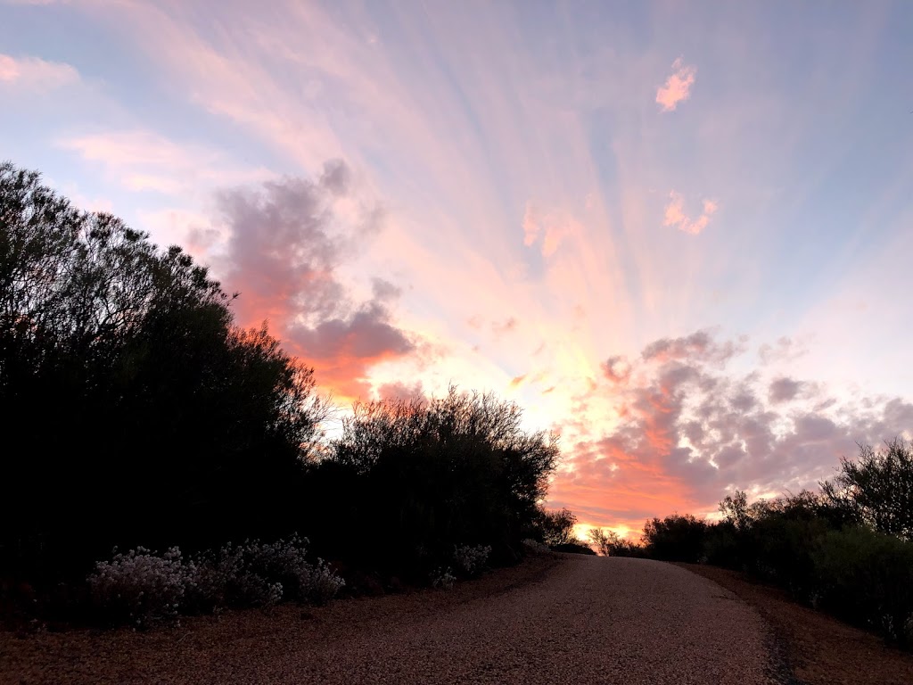 https://mdw-travel-data-us-east-1.s3.amazonaws.com/img/country/Australia/Karlkurla-Bushland-Park/img_01.jpg
