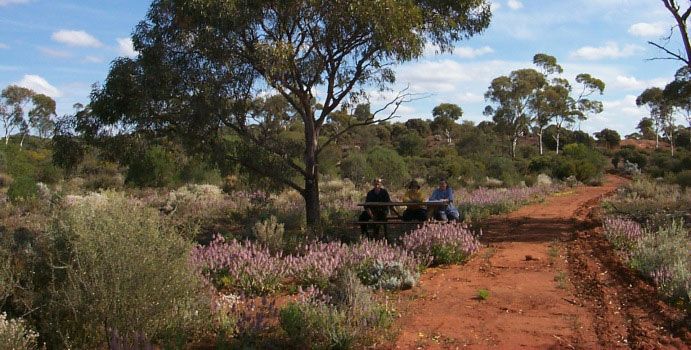 https://mdw-travel-data-us-east-1.s3.amazonaws.com/img/country/Australia/Karlkurla-Bushland-Park/img_04.jpg