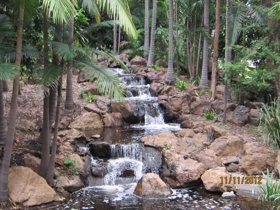 https://mdw-travel-data-us-east-1.s3.amazonaws.com/img/country/Australia/Kershaw-Gardens/img_03.jpg
