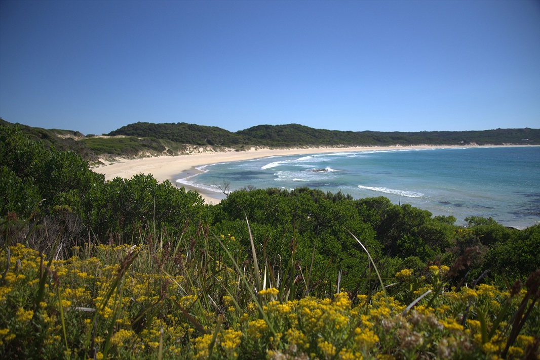 https://mdw-travel-data-us-east-1.s3.amazonaws.com/img/country/Australia/King-Island/img_01.jpg