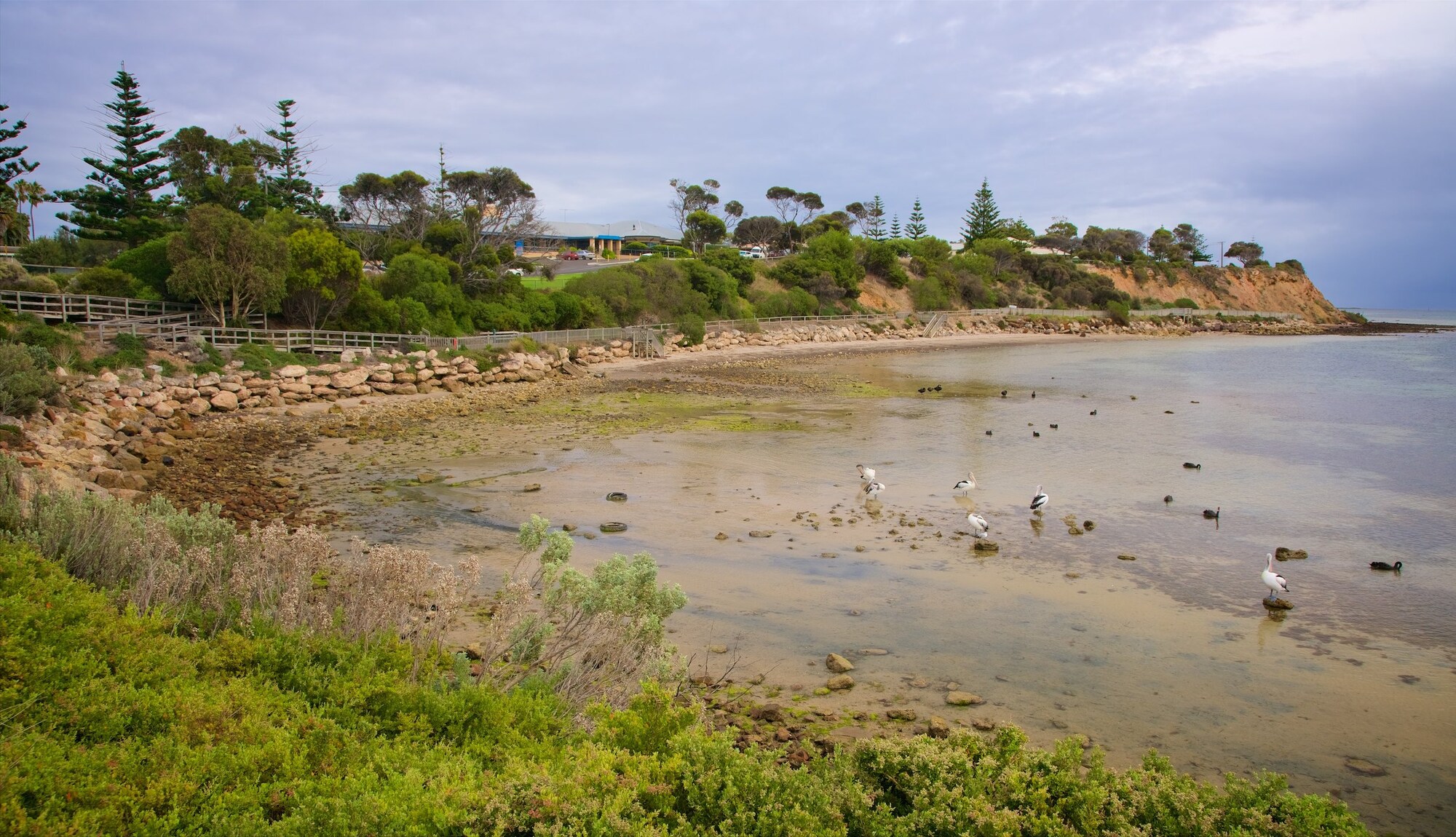 https://mdw-travel-data-us-east-1.s3.amazonaws.com/img/country/Australia/Kingscote/img_04.jpg