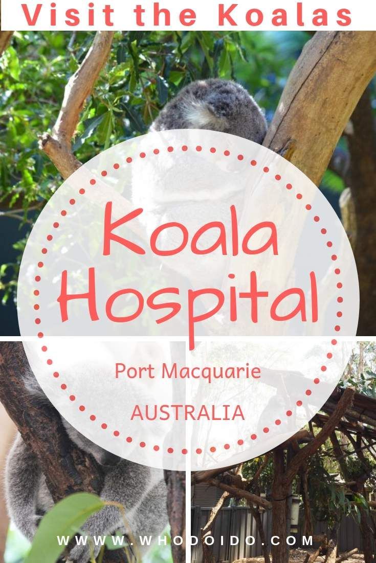 https://mdw-travel-data-us-east-1.s3.amazonaws.com/img/country/Australia/Koala-Hospital/img_03.jpg
