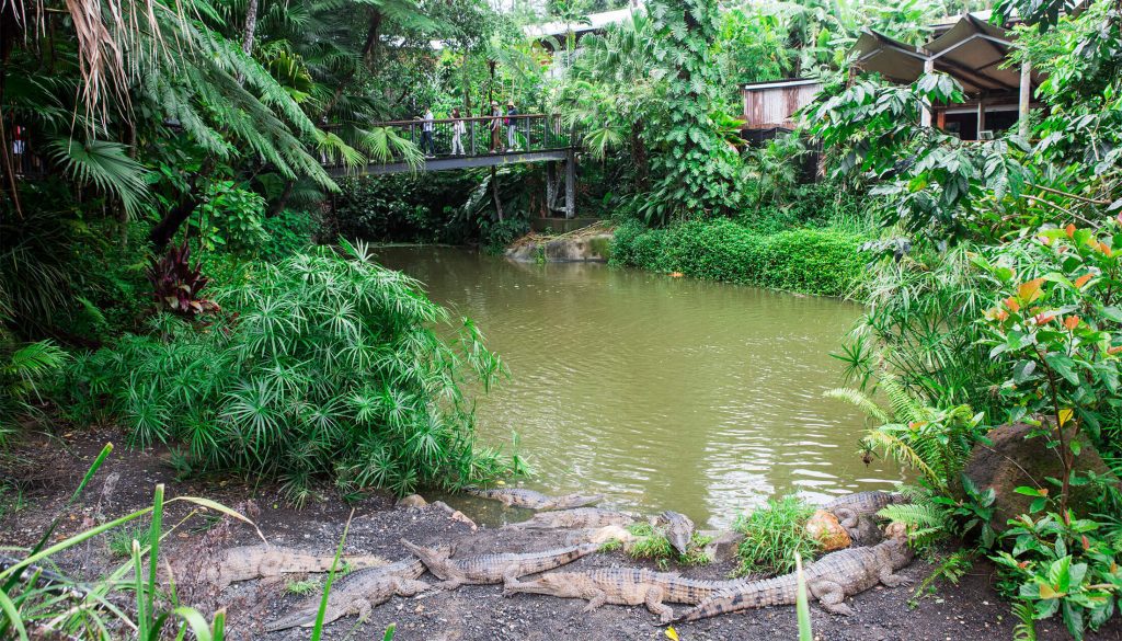 https://mdw-travel-data-us-east-1.s3.amazonaws.com/img/country/Australia/Kuranda-Koala-Gardens/img_01.jpg