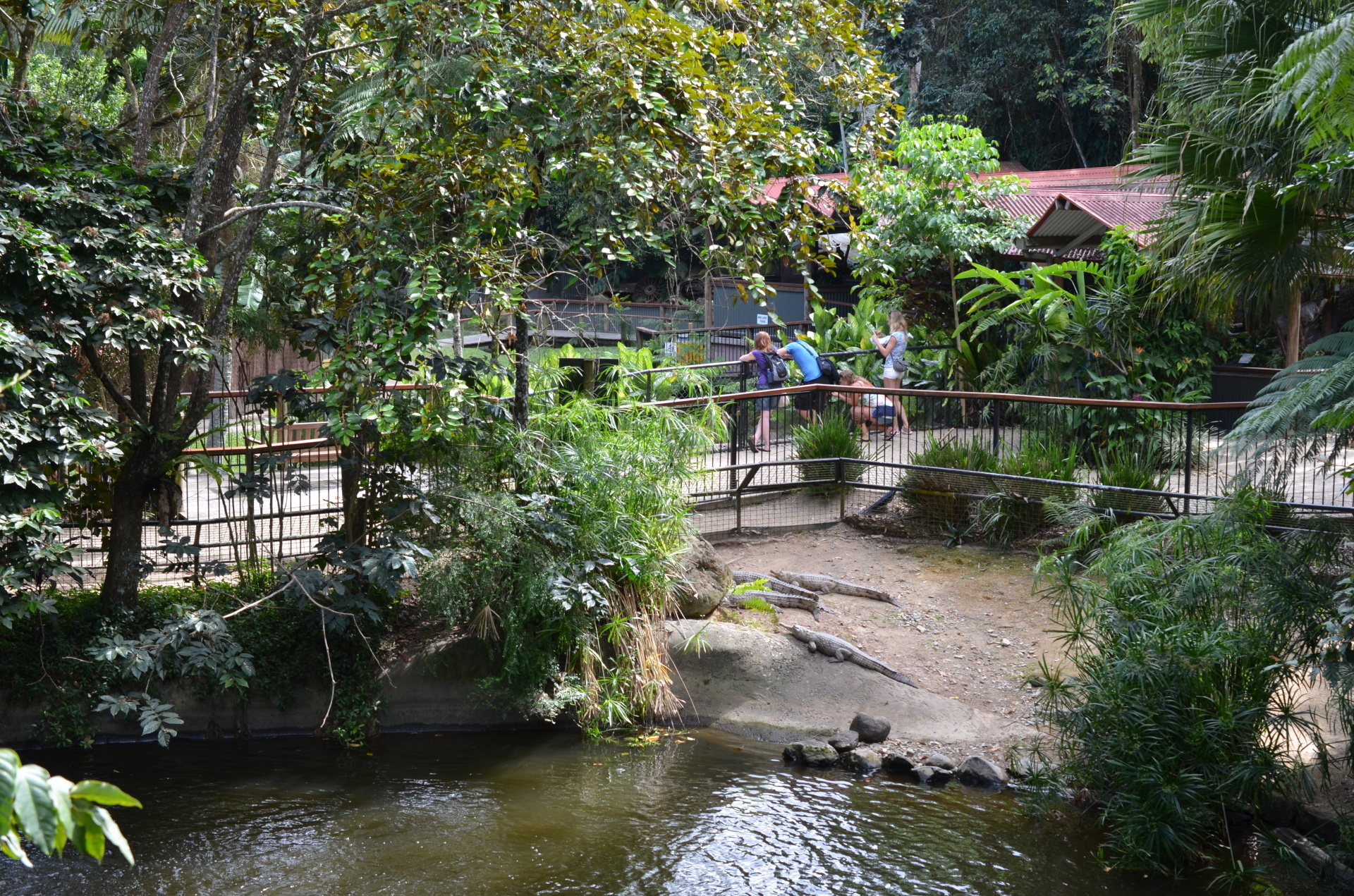 https://mdw-travel-data-us-east-1.s3.amazonaws.com/img/country/Australia/Kuranda-Koala-Gardens/img_03.jpg