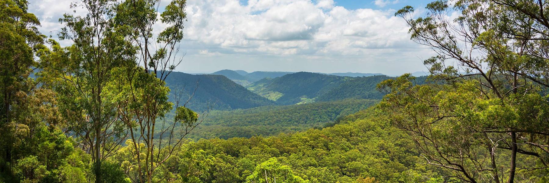 https://mdw-travel-data-us-east-1.s3.amazonaws.com/img/country/Australia/Lamington-National-Park/img_01.jpg