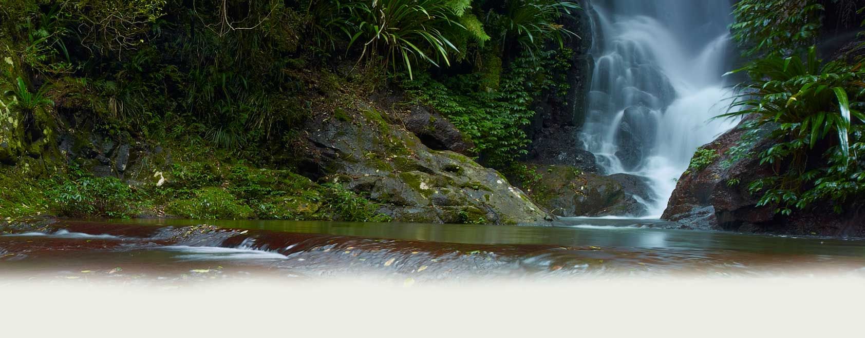 https://mdw-travel-data-us-east-1.s3.amazonaws.com/img/country/Australia/Lamington-National-Park/img_02.jpg