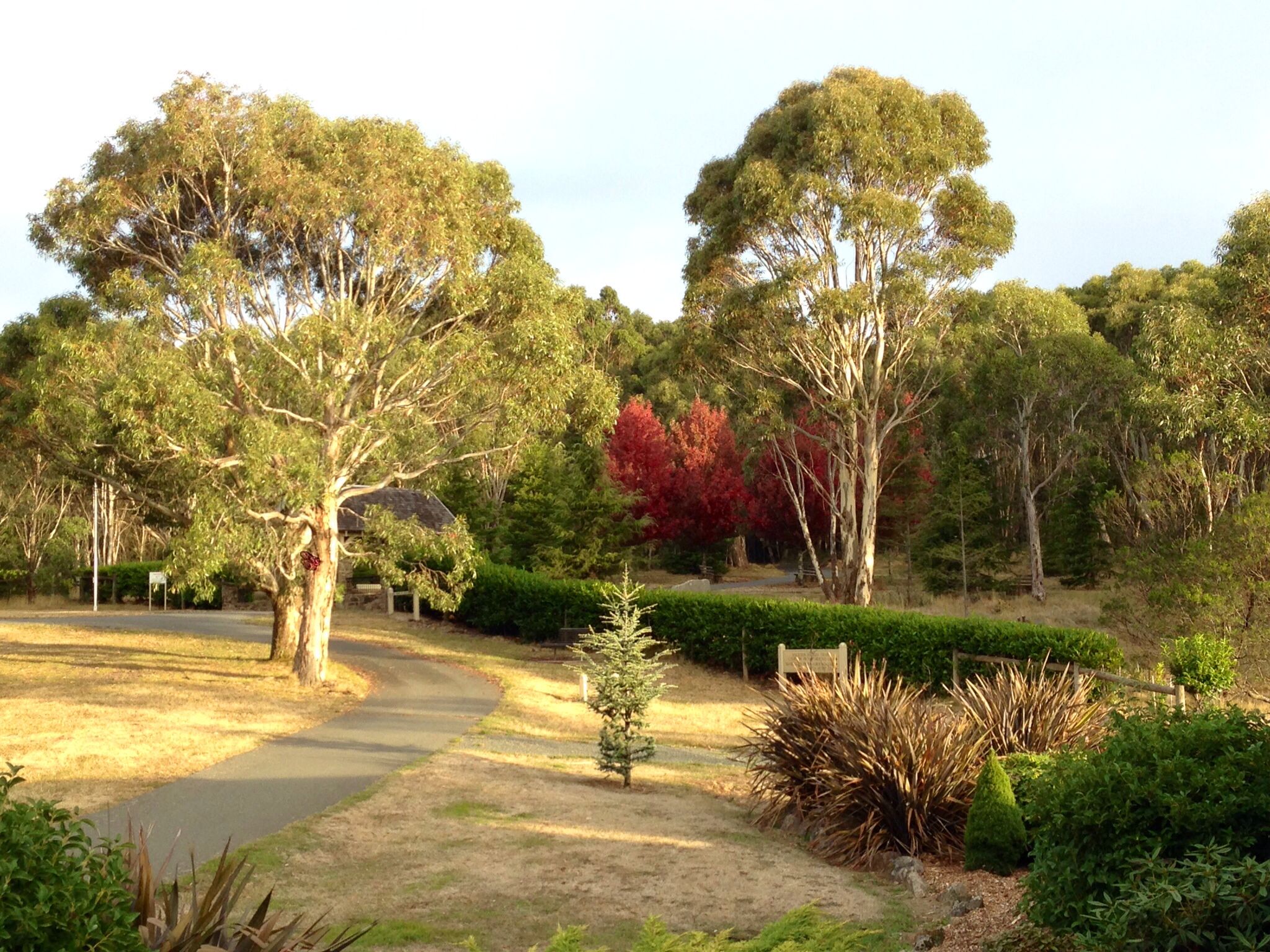 https://mdw-travel-data-us-east-1.s3.amazonaws.com/img/country/Australia/Macedon-Regional-Park/img_01.jpg