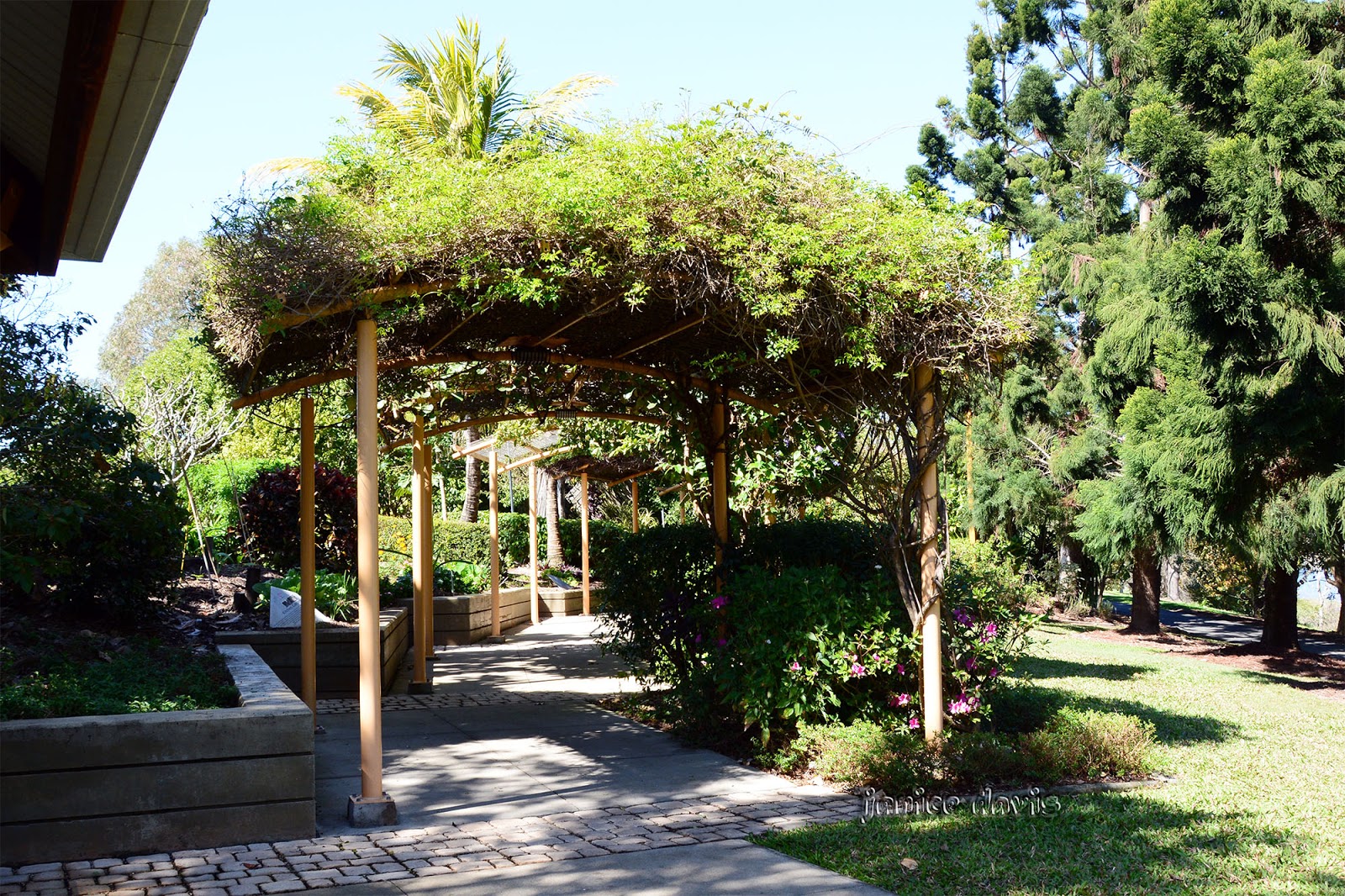 https://mdw-travel-data-us-east-1.s3.amazonaws.com/img/country/Australia/Mackay-Botanic-Gardens/img_02.jpg