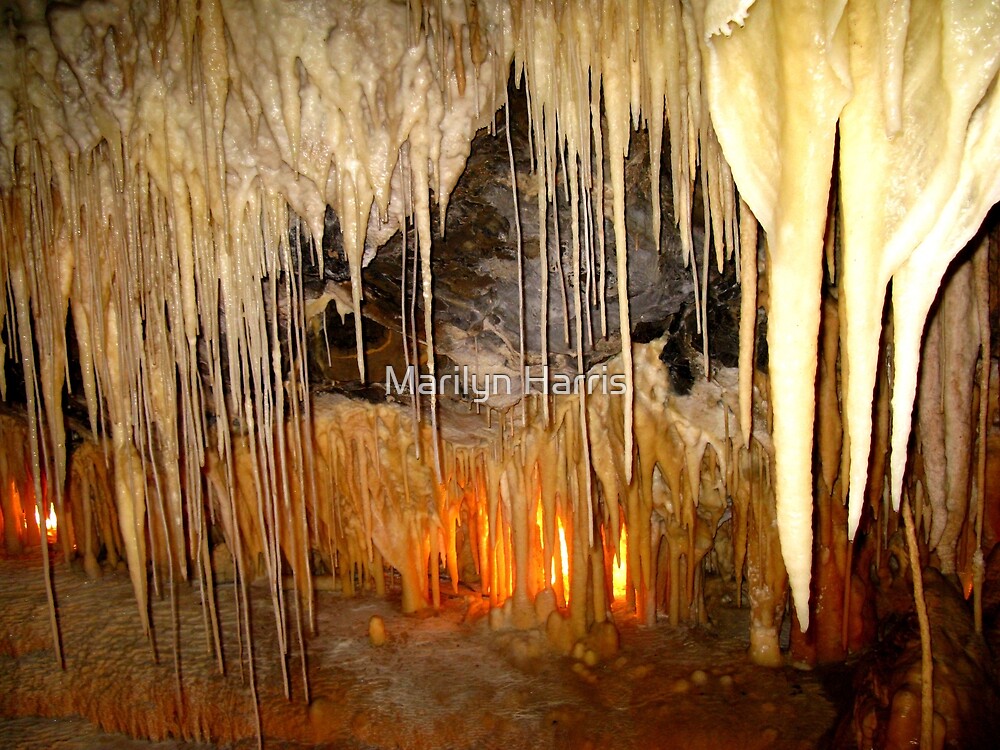 https://mdw-travel-data-us-east-1.s3.amazonaws.com/img/country/Australia/Marakoopa-Cave/img_02.jpg