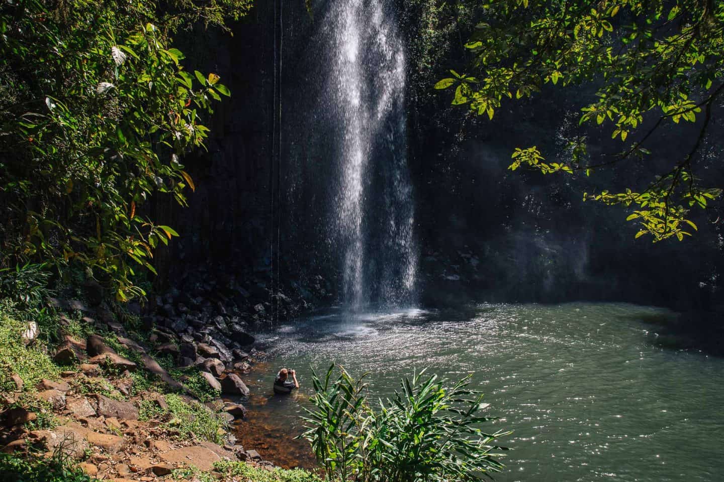 https://mdw-travel-data-us-east-1.s3.amazonaws.com/img/country/Australia/Millaa-Millaa-Falls/img_01.jpg