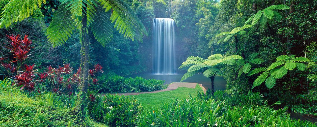 https://mdw-travel-data-us-east-1.s3.amazonaws.com/img/country/Australia/Millaa-Millaa-Falls/img_03.jpg