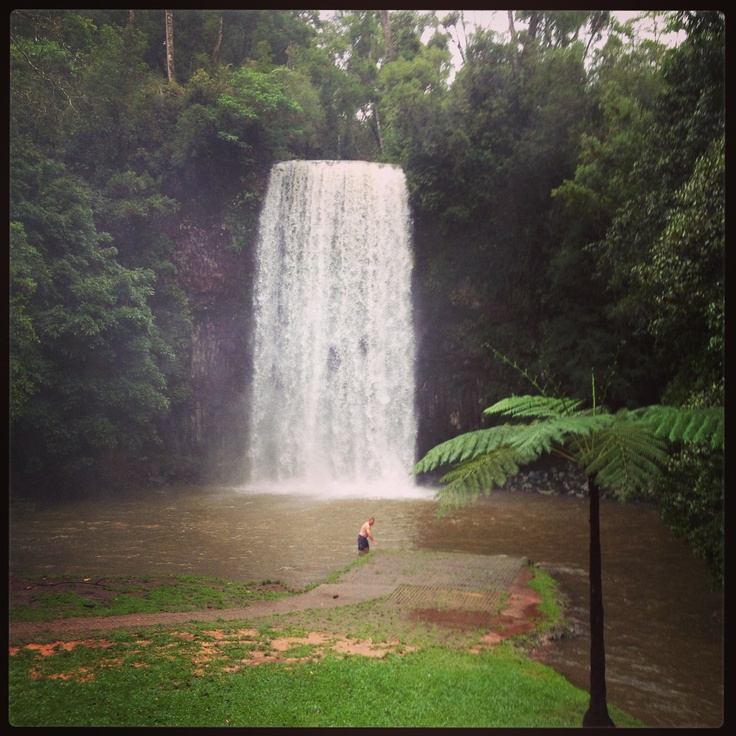 https://mdw-travel-data-us-east-1.s3.amazonaws.com/img/country/Australia/Millaa-Millaa-Falls/img_04.jpg