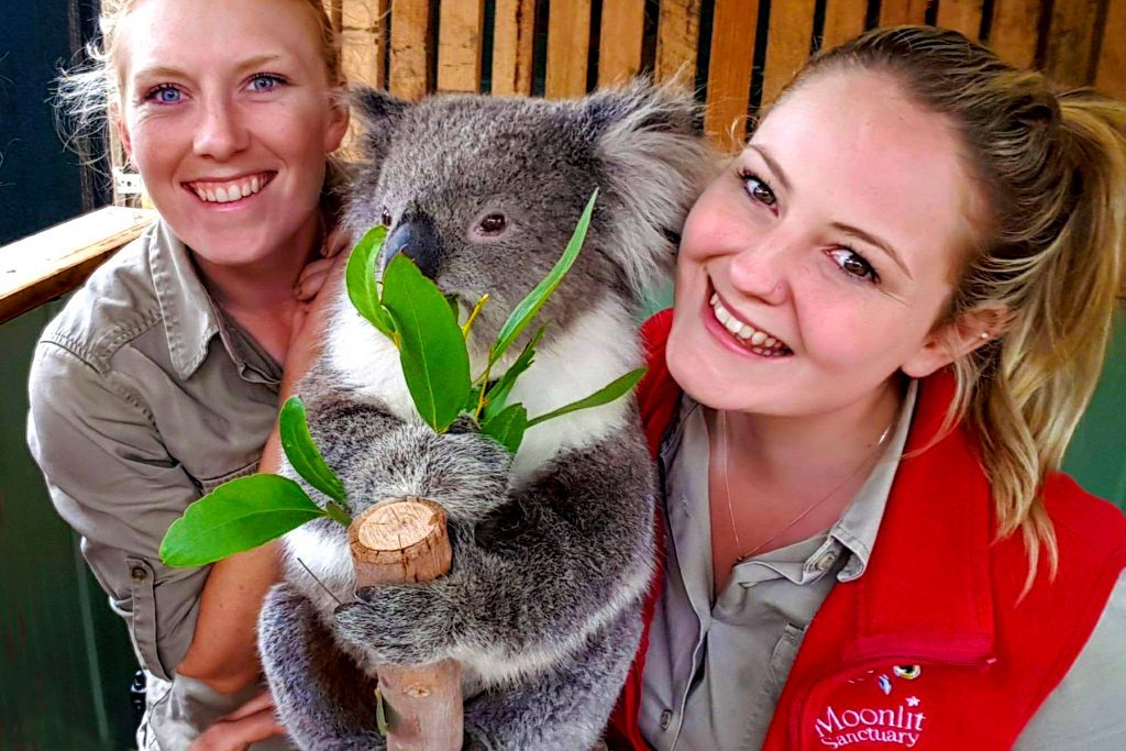 https://mdw-travel-data-us-east-1.s3.amazonaws.com/img/country/Australia/Moonlit-Sanctuary-Wildlife-Conservation-Park/img_05.jpg