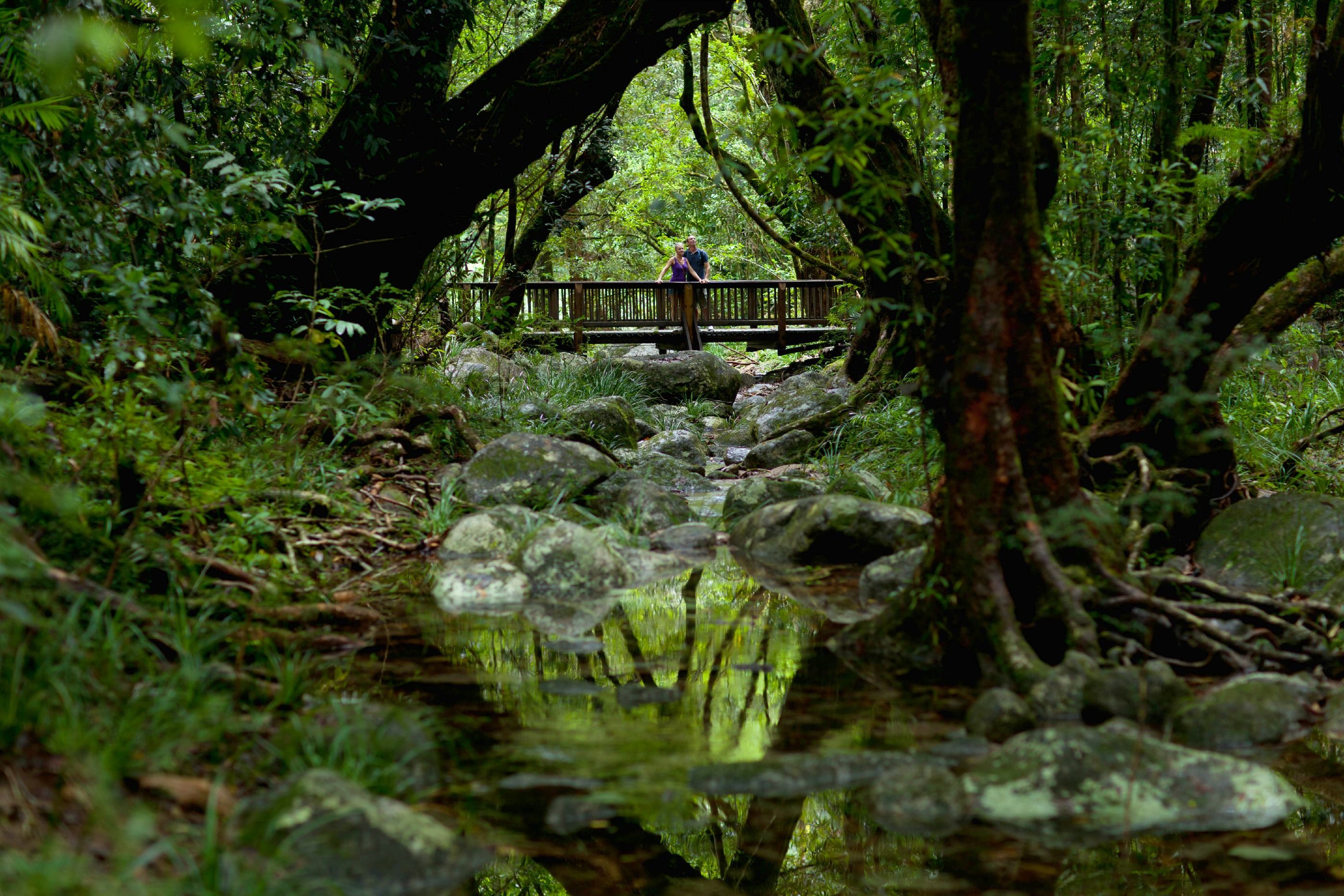 https://mdw-travel-data-us-east-1.s3.amazonaws.com/img/country/Australia/Mossman-Gorge/img_02.jpg