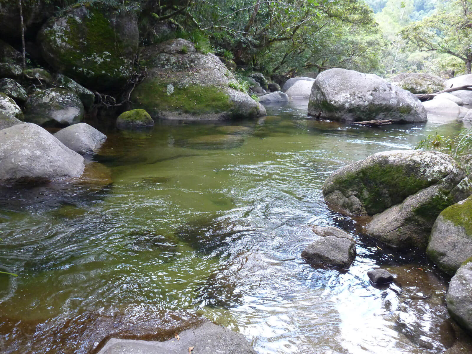 https://mdw-travel-data-us-east-1.s3.amazonaws.com/img/country/Australia/Mossman-Gorge/img_03.jpg