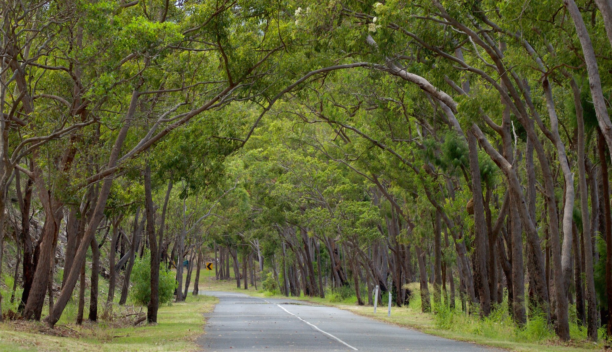 https://mdw-travel-data-us-east-1.s3.amazonaws.com/img/country/Australia/Mount-Archer-National-Park/img_03.jpg