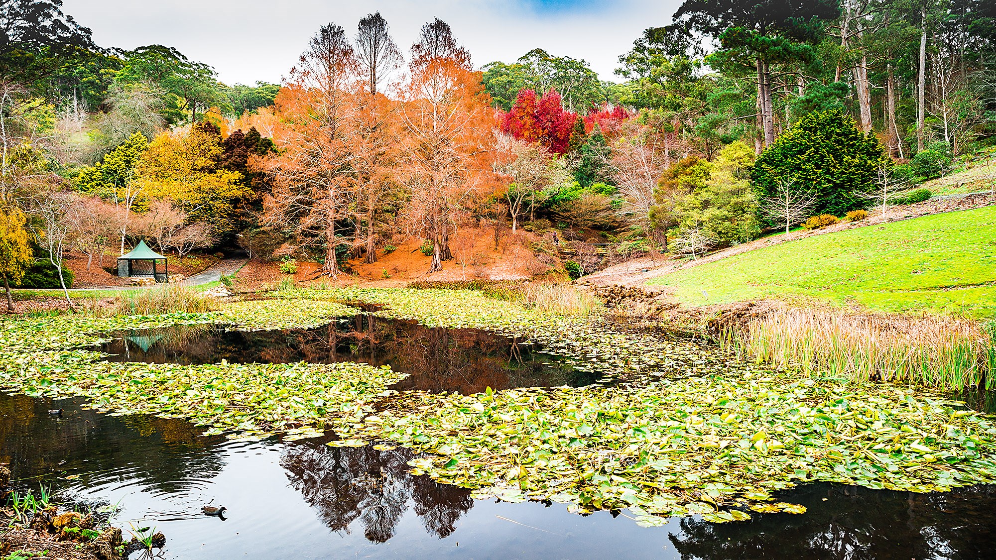 https://mdw-travel-data-us-east-1.s3.amazonaws.com/img/country/Australia/Mount-Lofty-Botanic-Garden/img_01.jpg