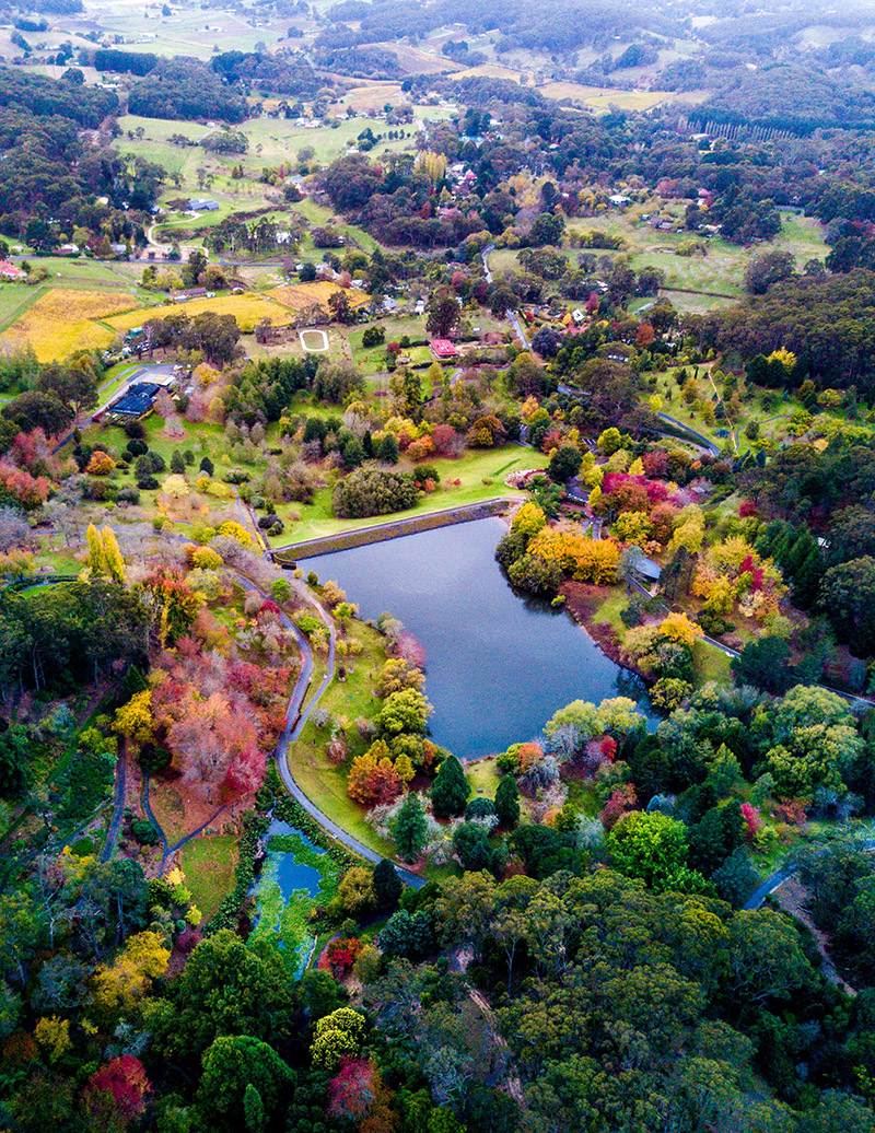 https://mdw-travel-data-us-east-1.s3.amazonaws.com/img/country/Australia/Mount-Lofty-Botanic-Garden/img_02.jpg