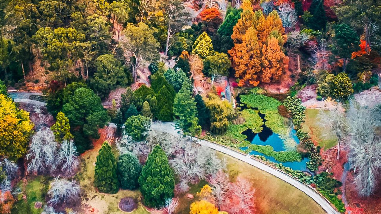 https://mdw-travel-data-us-east-1.s3.amazonaws.com/img/country/Australia/Mount-Lofty-Botanic-Garden/img_03.jpg