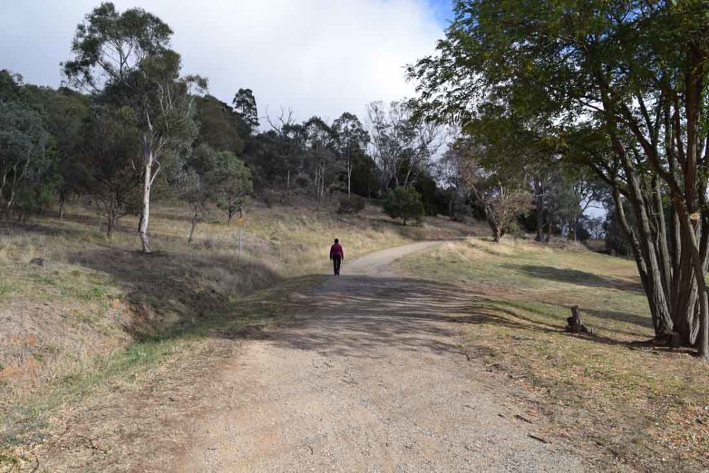 https://mdw-travel-data-us-east-1.s3.amazonaws.com/img/country/Australia/Mount-Painter/img_01.jpg