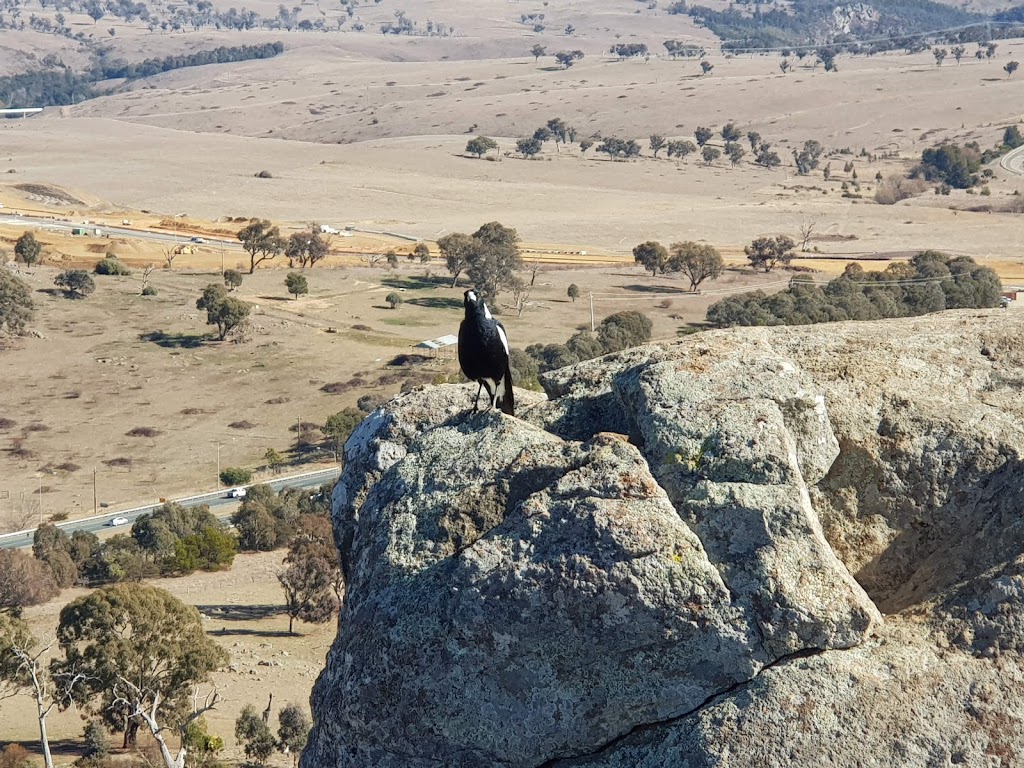 https://mdw-travel-data-us-east-1.s3.amazonaws.com/img/country/Australia/Mount-Painter/img_04.jpg