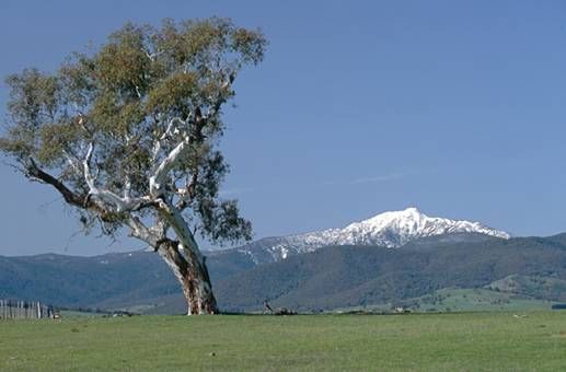 https://mdw-travel-data-us-east-1.s3.amazonaws.com/img/country/Australia/Mt-Buller/img_05.jpg