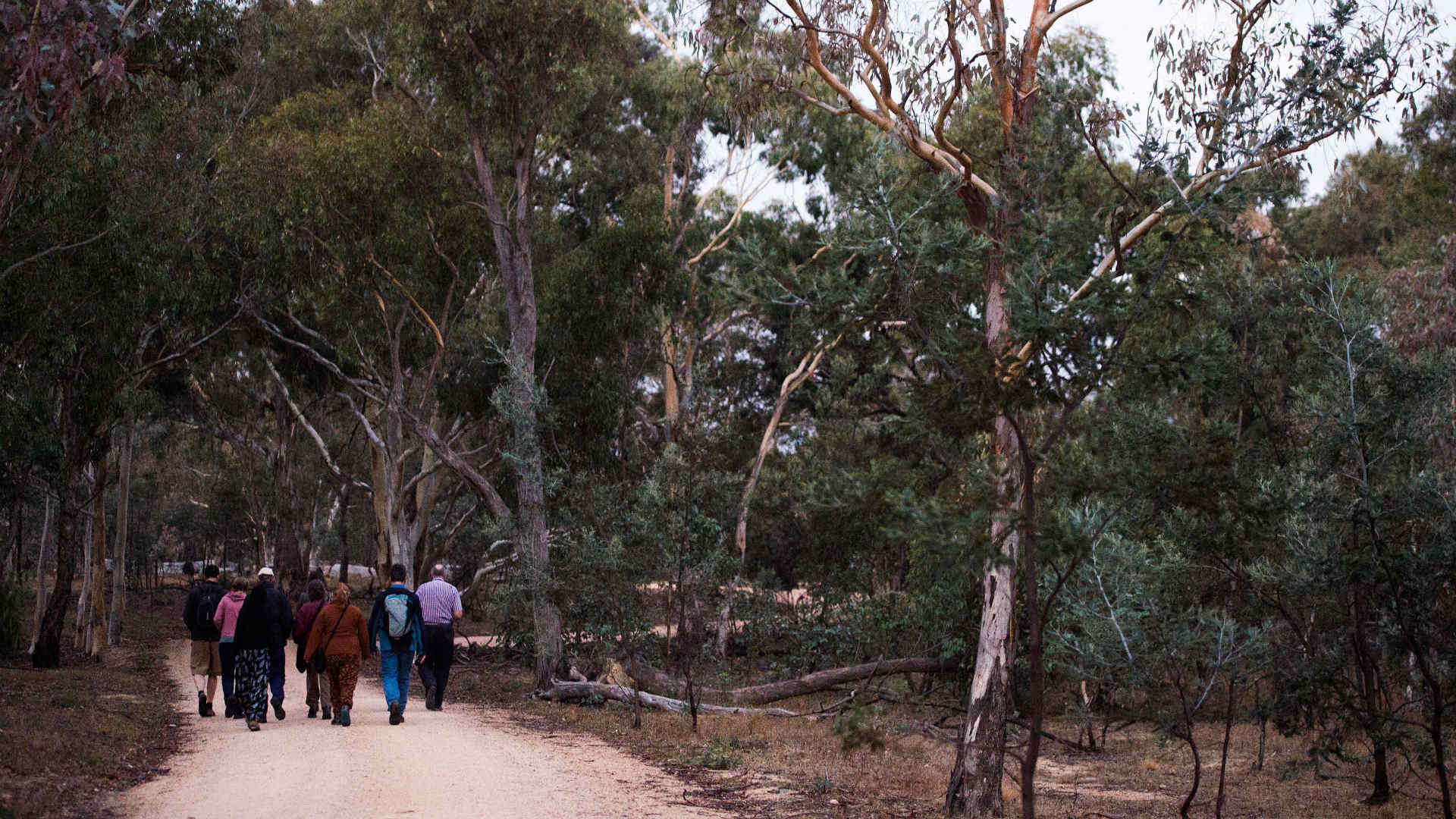 https://mdw-travel-data-us-east-1.s3.amazonaws.com/img/country/Australia/Mulligans-Flat-Woodland-Sanctuary/img_02.jpg