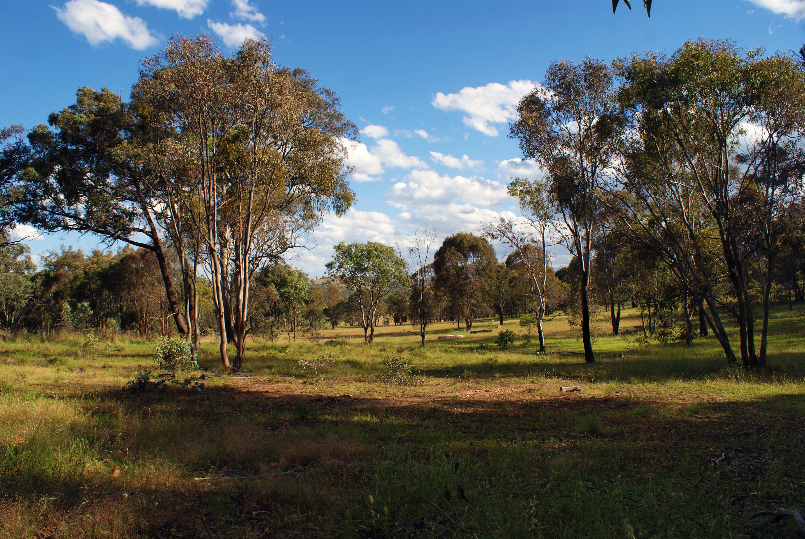https://mdw-travel-data-us-east-1.s3.amazonaws.com/img/country/Australia/Mulligans-Flat-Woodland-Sanctuary/img_05.jpg
