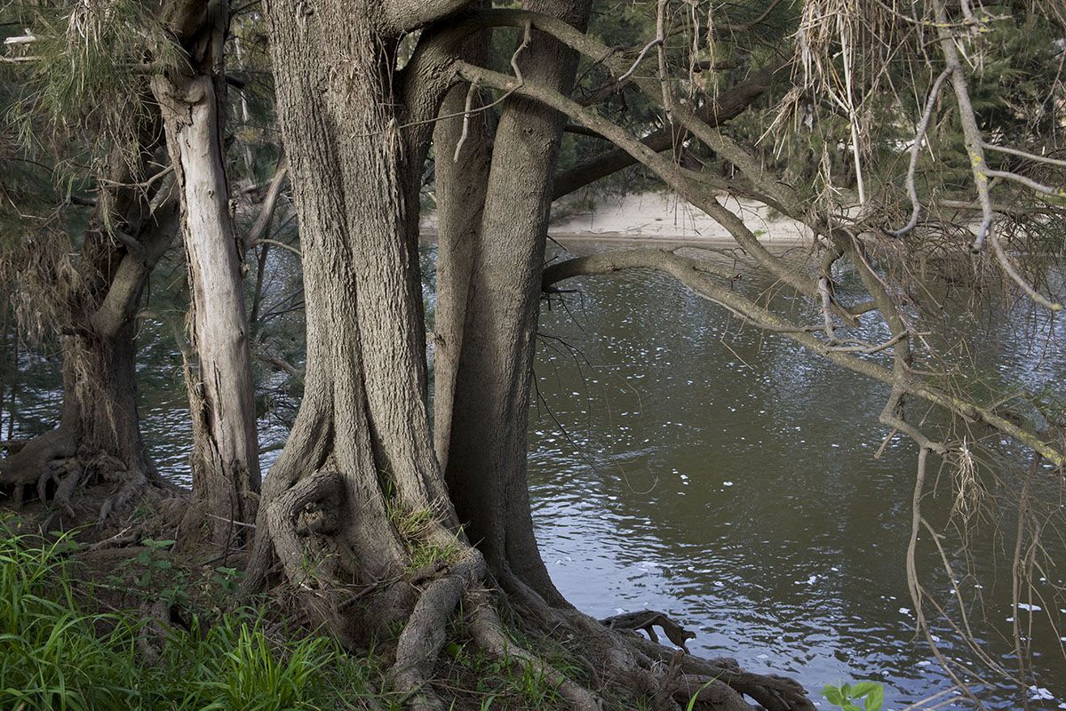 https://mdw-travel-data-us-east-1.s3.amazonaws.com/img/country/Australia/Murrumbidgee-River/img_01.jpg