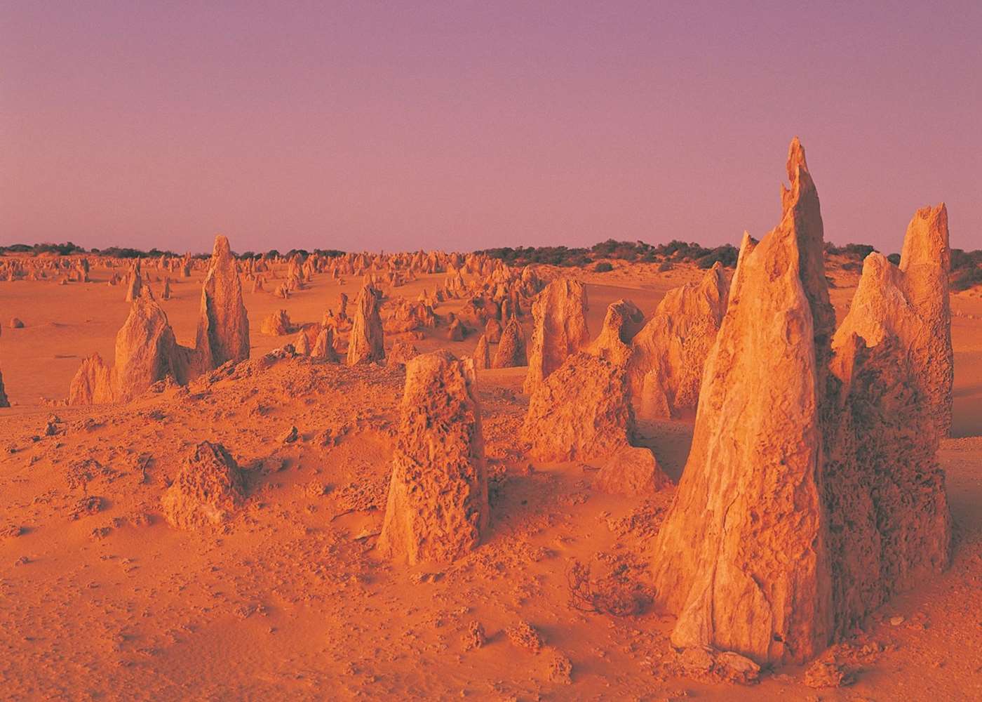 https://mdw-travel-data-us-east-1.s3.amazonaws.com/img/country/Australia/Nambung-National-Park/img_02.jpg