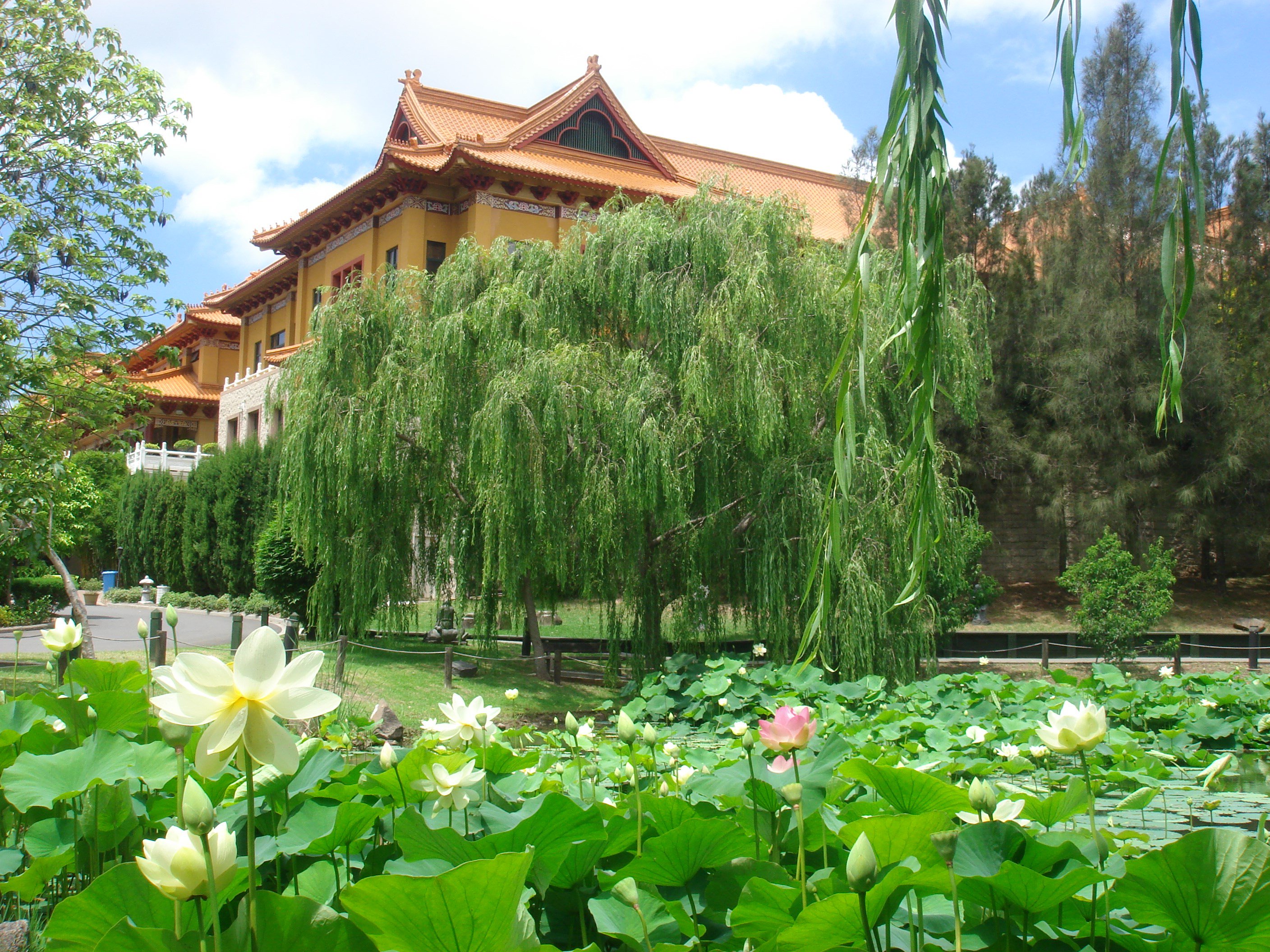 https://mdw-travel-data-us-east-1.s3.amazonaws.com/img/country/Australia/Nan-Tien-Temple/img_01.jpg