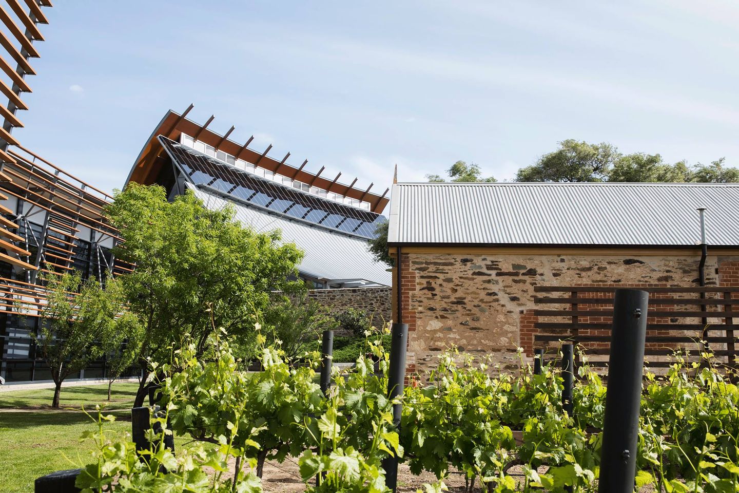 https://mdw-travel-data-us-east-1.s3.amazonaws.com/img/country/Australia/National-Wine-Centre-of-Australia/img_01.jpg