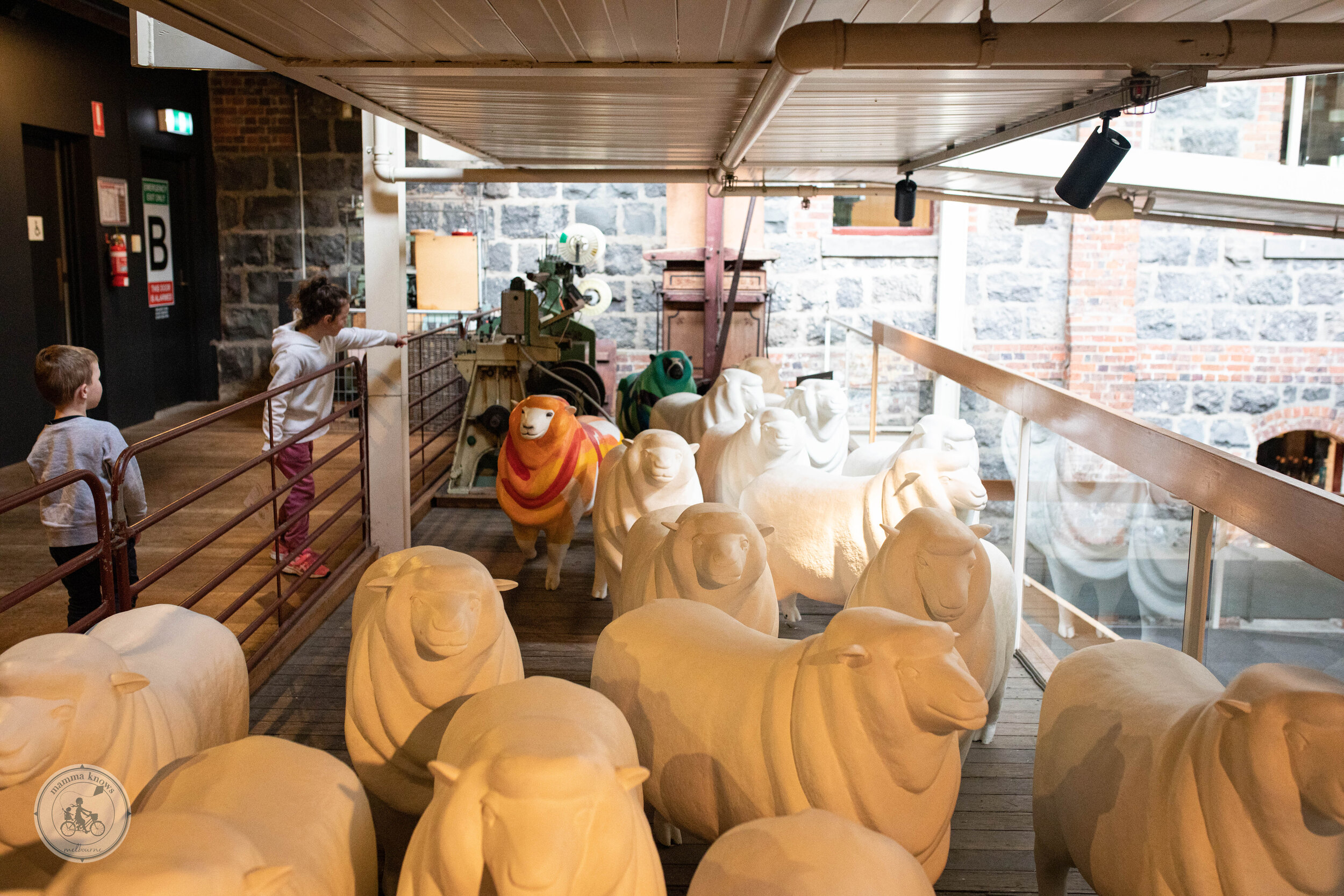 https://mdw-travel-data-us-east-1.s3.amazonaws.com/img/country/Australia/National-Wool-Museum/img_01.jpg
