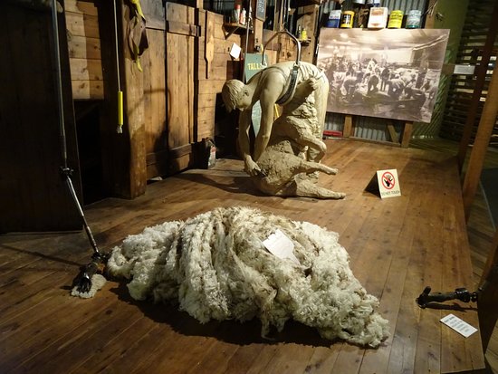 https://mdw-travel-data-us-east-1.s3.amazonaws.com/img/country/Australia/National-Wool-Museum/img_03.jpg