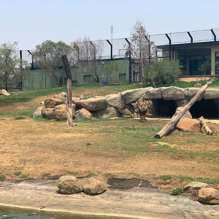 https://mdw-travel-data-us-east-1.s3.amazonaws.com/img/country/Australia/National-Zoo-and-Aquarium/img_01.jpg