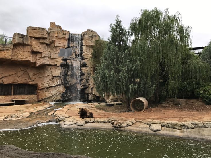 https://mdw-travel-data-us-east-1.s3.amazonaws.com/img/country/Australia/National-Zoo-and-Aquarium/img_02.jpg