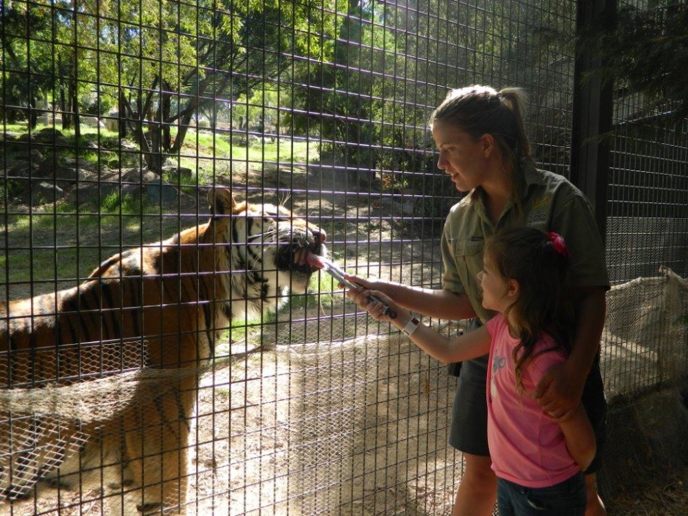 https://mdw-travel-data-us-east-1.s3.amazonaws.com/img/country/Australia/National-Zoo-and-Aquarium/img_04.jpg