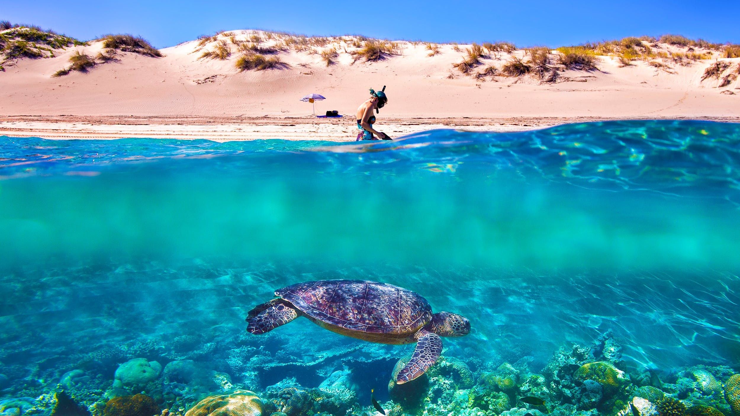 https://mdw-travel-data-us-east-1.s3.amazonaws.com/img/country/Australia/Ningaloo-Reef/img_05.jpg