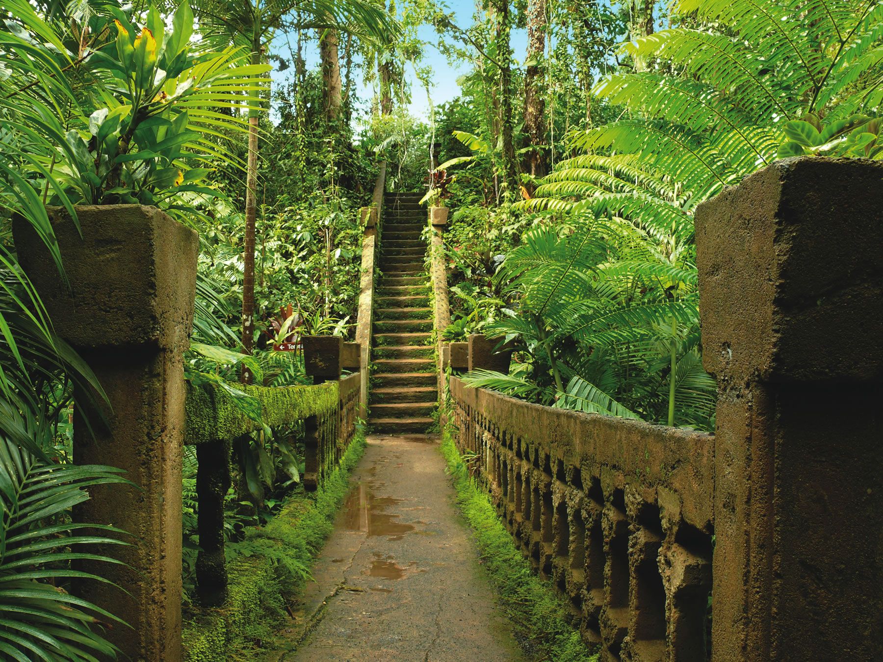https://mdw-travel-data-us-east-1.s3.amazonaws.com/img/country/Australia/Paronella-Park/img_01.jpg
