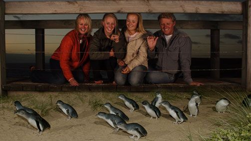 https://mdw-travel-data-us-east-1.s3.amazonaws.com/img/country/Australia/Penguin-Parade/img_04.jpg