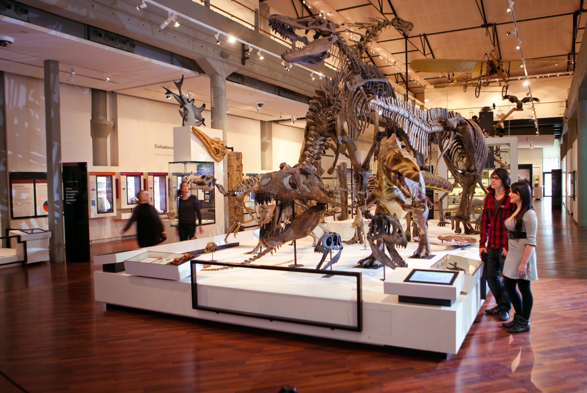 https://mdw-travel-data-us-east-1.s3.amazonaws.com/img/country/Australia/Queen-Victoria-Museum-and-Art-Gallery--QVMAG-/img_02.jpg