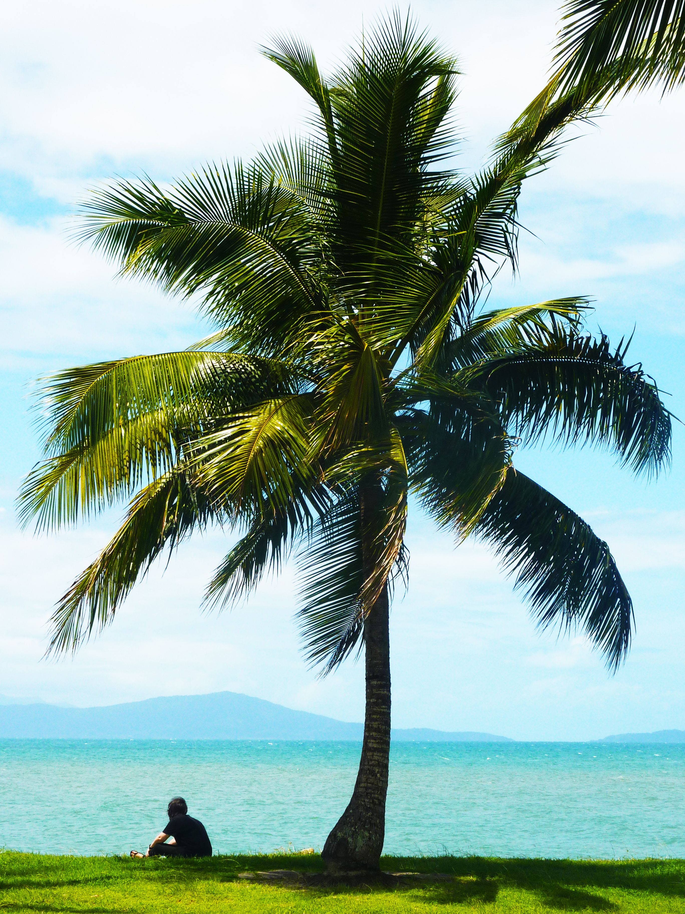 https://mdw-travel-data-us-east-1.s3.amazonaws.com/img/country/Australia/Rex-Smeal-Park/img_02.jpg