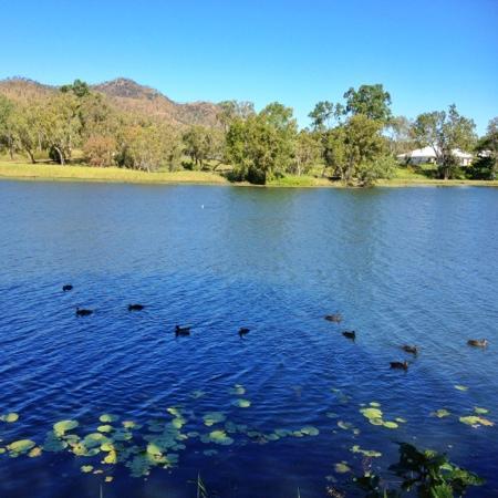 https://mdw-travel-data-us-east-1.s3.amazonaws.com/img/country/Australia/Riverway/img_03.jpg