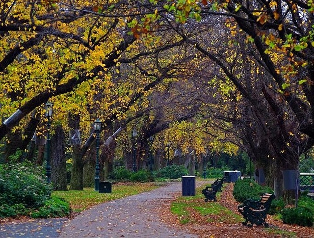 https://mdw-travel-data-us-east-1.s3.amazonaws.com/img/country/Australia/Rosalind-Park/img_01.jpg