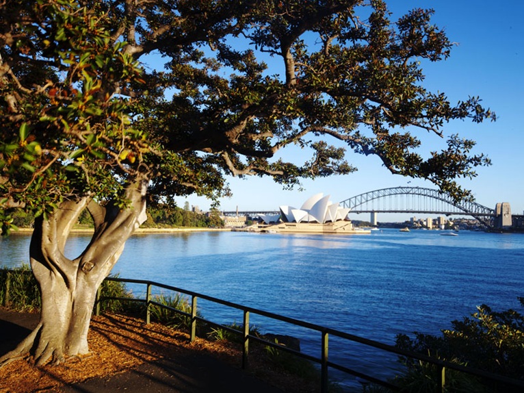 https://mdw-travel-data-us-east-1.s3.amazonaws.com/img/country/Australia/Royal-Botanic-Garden-Sydney/img_01.jpg
