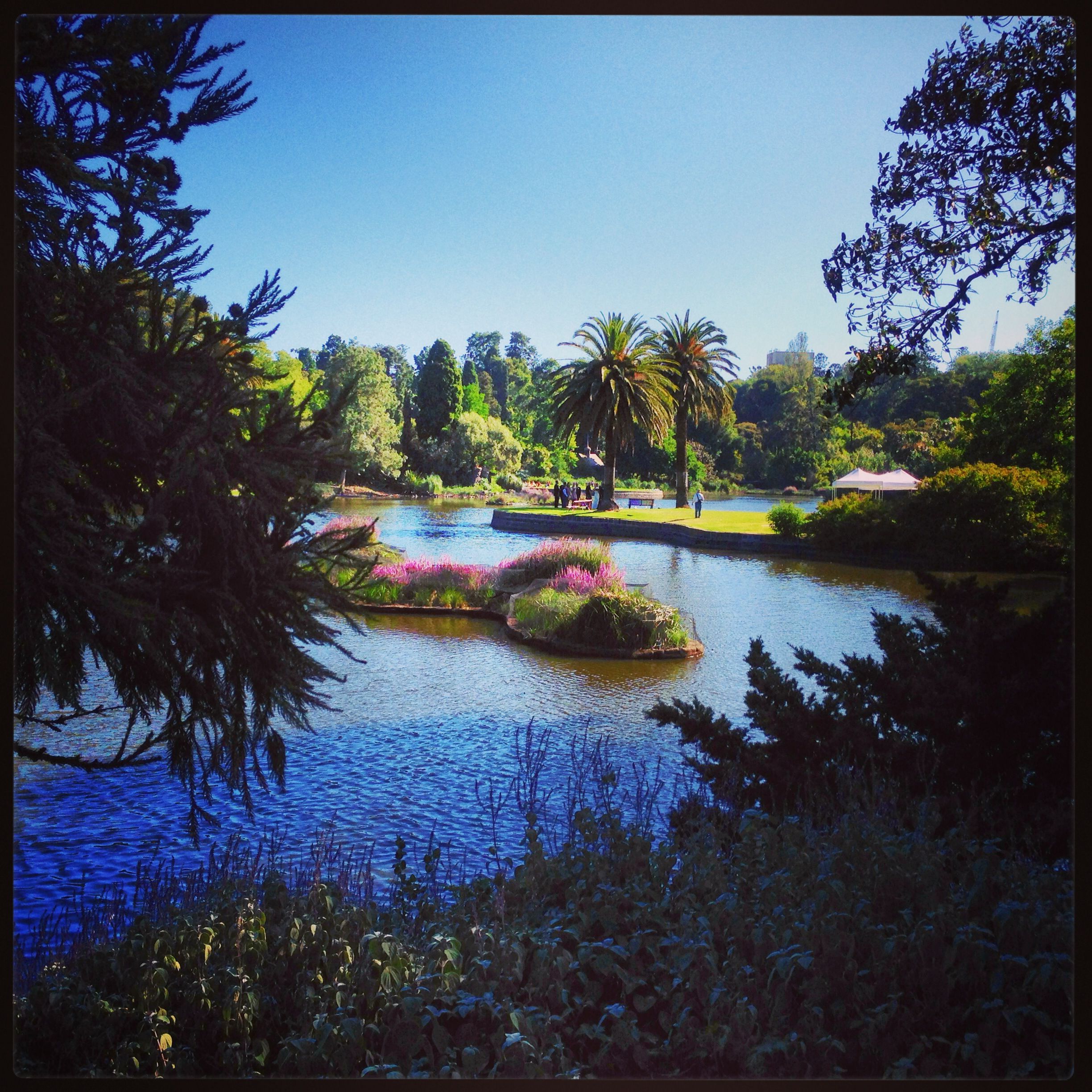 https://mdw-travel-data-us-east-1.s3.amazonaws.com/img/country/Australia/Royal-Botanic-Gardens-Victoria/img_01.jpg