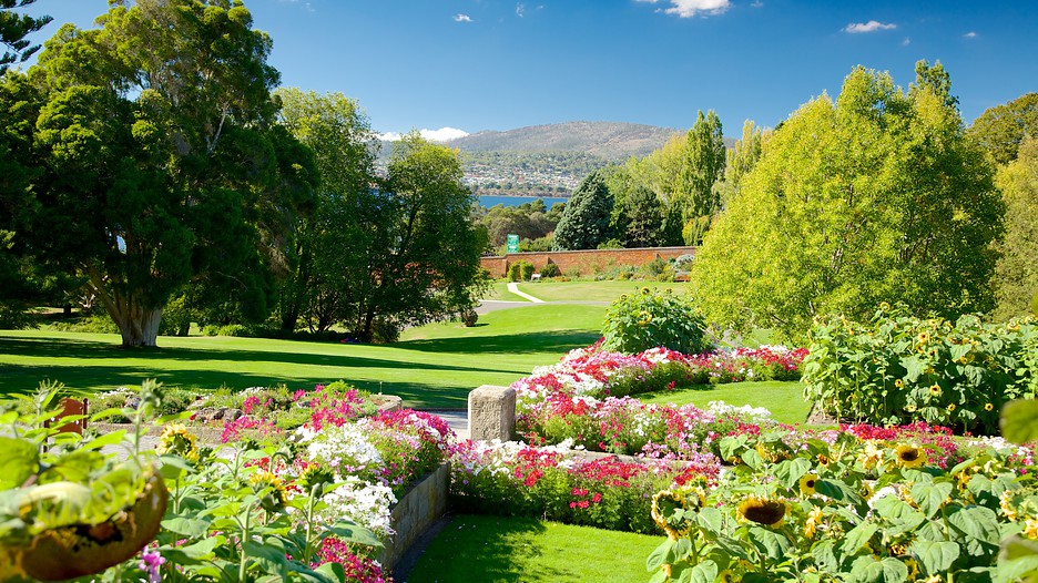 https://mdw-travel-data-us-east-1.s3.amazonaws.com/img/country/Australia/Royal-Tasmanian-Botanical-Gardens/img_01.jpg
